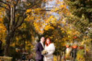 Работа 1314533