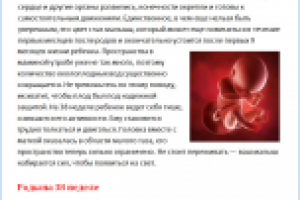 Глубокий рерайт. 38 неделя беременности