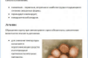 Свиной грипп. Причины и следствия