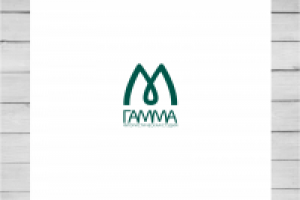 Логотип (позитив)