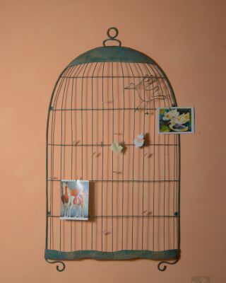 img3599359.png