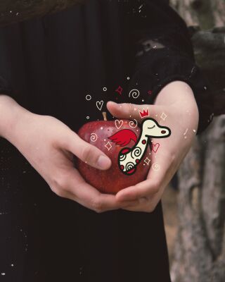 img3550561.png