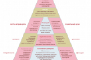 Пирамида бренда Amore