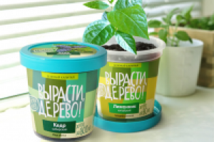 Вырасти, дерево!