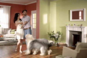 Краски Dulux - реклама на ТВ