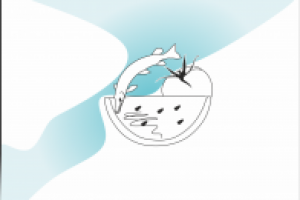 Работа 3081664