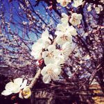 img2300520.png