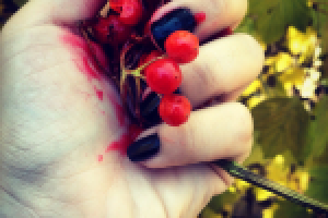 Кровавые ягоды