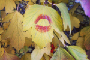 Здесь была Саша