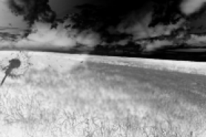 Волна ядерного взрыва над полем