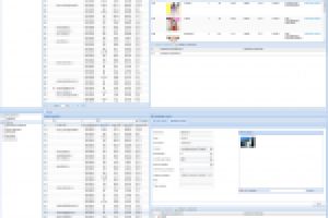 Модули панели управления интернет магазином ExtJs (MVC), YII