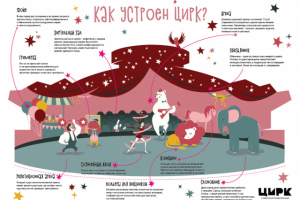 Инфографика "Как устроен цирк?"