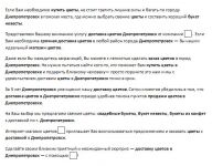 img336202.png