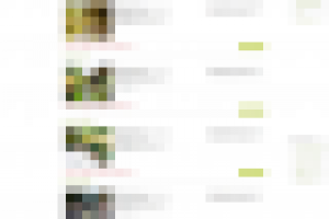 Сайт по продаже вилл на острове Бали в Индонезии