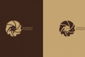 Логотип для фотографа Тины Земляковой