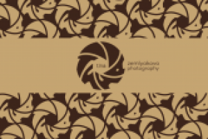 Логотип для фотографа Тины Земляковой