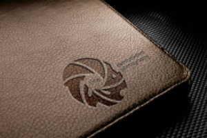 Логотип для фотографа Тины Земляковой