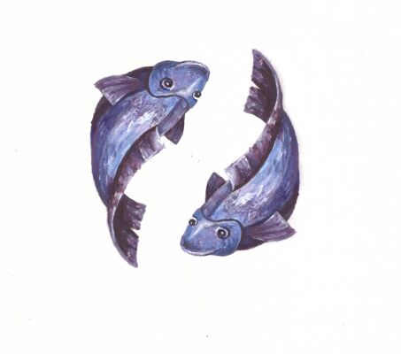 img3420026.png