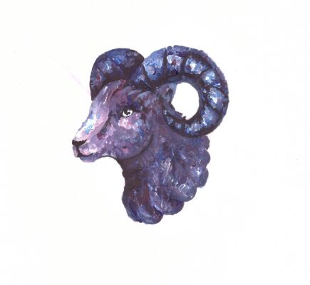 img3420032.png