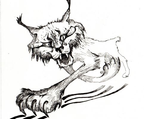img3190118.png