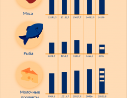Инфографик, продукты 3.