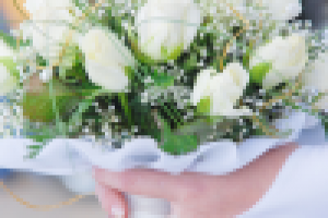 Работа 1132237