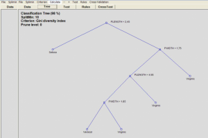 Построение дерева решений