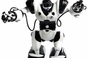 Рекламное фото. Обтравка игрушек