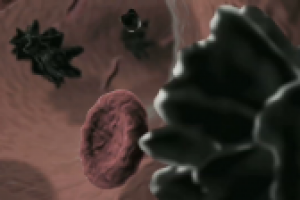 Работа 3095963