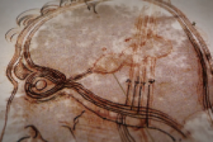 Работа 3096008