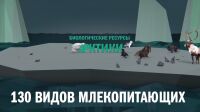 img3095972.png