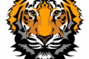 Работа 2295544