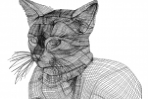 Работа 2295530