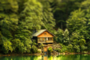 Работа 1867594