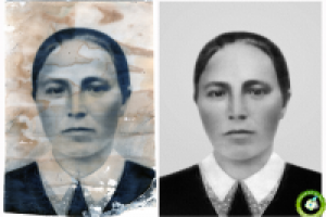 Работа 2677506