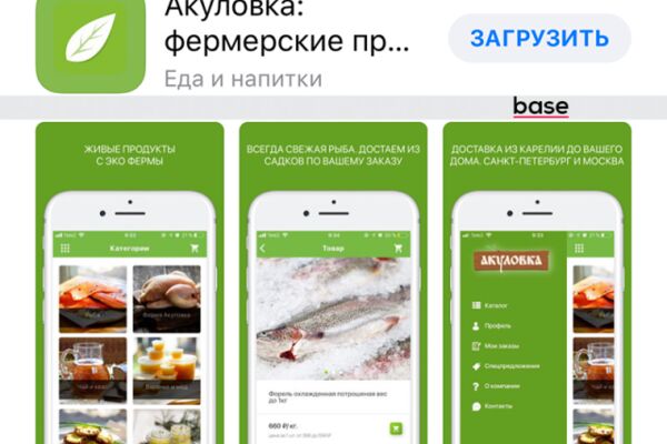 img3390960.png