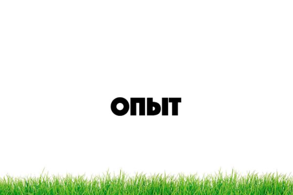 img3387802.png