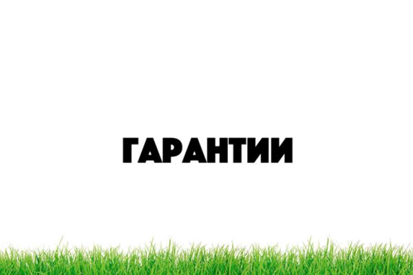 img3387808.png