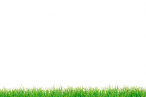 ПРОДВИЖЕНИЕ САЙТА В ПОИСКОВЫХ СИСТЕМАХ SEO