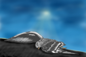 Работа 2967568