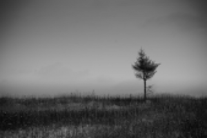 Работа 2967881