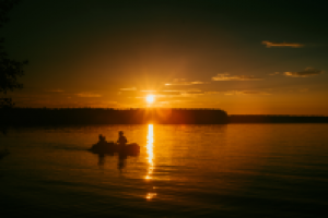 Работа 2967838