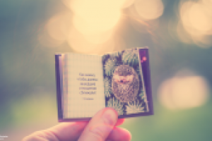 Работа 2967976