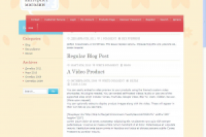 магазин на wp