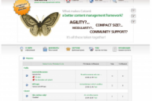 На движке cotonti 0 6 20