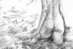 Иллюстрация к роману Булгакова М.А. "Мастер и Маргарита"