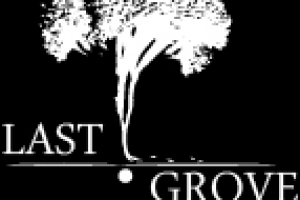Логотип агентства Last Grove