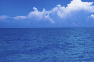 туристическая фирма