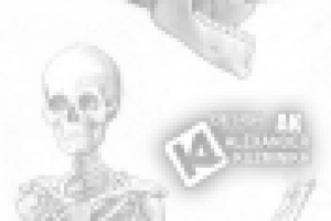 Skelet. Проекция 1