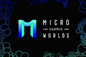 Разработка VR приложения для Steam. Microcosmic Worlds.